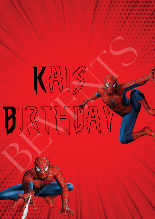 SPIDER MAN